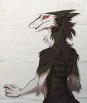 2017 anthro balthazar_(thorphax) black_body black_fur brown_body brown_fur fur looking_at_viewer looking_back looking_back_at_viewer male multicolored_body multicolored_fur nude orange_eyes paper rear_view rotarr sergal solo tail white_body white_fur