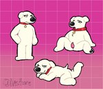 anthro brian_griffin canid canine digital_media_(artwork) family_guy furry hi_res invalid_tag male mammal nasthane solo