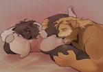 post #5529076
