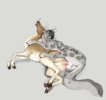 binocular_doe bite claws deer dewclaw_hooves digi digital_media_(artwork) duo ear_bite felid female feral feral_on_feral fur grey_body grey_fur hooves jeffusherb male male/female mammal pantherine pawpads paws penetration simple_background snow_leopard whiskers