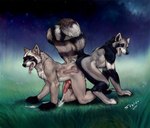 anthro ass_to_ass bound duo ejaculation genitals hi_res internal knot male male/male mammal penis procyonid raccoon sunitai