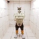 Rating: e
ID: 4346037
Date: 2023-10-11 11:53:34 -0400
Status: active
Score: 32
1:1 4_toes 9a absurd_res anthro arms_tied barefoot bdsm black_chastity_cage bondage bound canid canine canis chain chained chained_to_floor chastity_cage chastity_device claws collar collar_tag confinement cuff_(restraint) dungeon feet gag hi_res leather leather_cuffs lock male mammal metal_collar muscular muscular_anthro muscular_male muscular_sub muzzle_(object) padded_room plantigrade prisoner raitobimu restraints security security_camera solitary solo standing straitjacket submissive submissive_male toes wolf post #4346037
