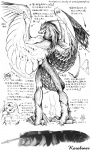 Rating: q
ID: 22169
Date: 2008-12-08 22:51:42 -0500
Status: active
Score: 19
1999 anatomy anthro avian bad_metadata beak bird black_and_white directional_arrow duo feathered_wings feathers hi_res japanese_text karabiner male missing_sample model_sheet monochrome nude solo_focus species_sheet text translation_request wings post #22169