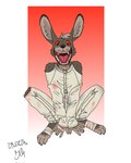 anthro bartek22 blood blood_on_clothing bodily_fluids clenched_teeth clothing crouching ears_up fur hi_res hole_in_pants insane insane_eyes lagomorph leporid looking_at_viewer male mammal mental_illness open_mouth rabbit rabbit_ears rabbit_feet rabbit_nose red_eyes restraints sharp_teeth solo straitjacket teeth tongue