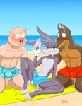 anthro athletic athletic_anthro athletic_male beach blush blush_lines bodily_fluids bugs_bunny bulge canid canine canis clothed clothing detailed_bulge dobermann domestic_dog domestic_pig excited femboy fur genital_outline gloves grey_body grey_fur group handwear hi_res imminent_sex jackofak lagomorph leporid looney_tunes male male/male mammal muscular muscular_male oil outside partially_clothed penis_outline pinscher rabbit seaside slim suid suina sus_(pig) sweat sweatdrop swimwear topless trio warner_brothers