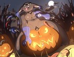 absurd_res bandai_namco blackgatomon bodily_fluids breasts digimon digimon_(species) drooling felid feline female food food_fetish food_insertion food_play fruit genital_fluids genitals halloween hi_res holidays improvised_dildo improvised_sex_toy jack-o'-lantern light looking_at_viewer looking_down mammal masturbation moonlight night nipples penetrated_by_pumpkin penetration plant pumpkin pumpkin_masturbation pussy rilesthecat saliva sitting_on_pumpkin solo tongue tongue_out vaginal vaginal_fluids vaginal_masturbation vaginal_penetration