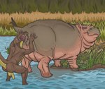 2022 absurd_res anthro anthro_on_feral anus balls bestiality common_hippopotamus cunnilingus duo female feral flaccid genitals hi_res hippopotamid humanoid_genitalia humanoid_penis ivan_jarogniew lizard male male/female mammal musorok non-mammal_balls nude open_mouth oral penis plant pussy raised_tail reptile scalie sex tail tail_anus tongue tongue_out vaginal water