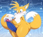 2023 absurd_res anthro big_butt big_penis bigdon1992 blue_eyes blush butt canid canine disembodied_penis duo eulipotyphlan femboy fox fur genitals hedgehog hi_res huge_butt huge_penis humanoid_genitalia humanoid_penis imminent_sex male male/male mammal miles_prower nude penis penis_size_difference pronounced_browridge sega sonic_the_hedgehog sonic_the_hedgehog_(series) thick_thighs white_body white_fur wide_hips yellow_body yellow_fur