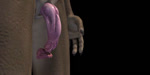 Rating: e
ID: 2018739
Date: 2019-10-10 13:55:12 -0400
Status: active
Score: 71
2009 2:1 3d_(artwork) 3d_animation animal_genitalia animated becoming_erect becoming_flaccid black_background black_jackal bodily_fluids cum digital_media_(artwork) dragon erection faceless_character faceless_male flaccid flared_penis flash_conversion genital_fluids genital_slit genitals long_playtime male masturbation mythological_creature mythological_scalie mythology no_sound nude orgasm penile penile_masturbation penis scalie simple_background solo throbbing twitching unusual_anatomy unusual_genitalia unusual_penis vein veiny_penis webm post #2018739