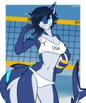 anthro athletic athletic_anthro athletic_female bikini blue_body blue_eyes breasts clothing countershade_torso countershading day female fin fish gills grin hi_res long_tail looking_at_viewer marine medium_breasts midriff navel neck_gills net non-mammal_breasts non-mammal_navel outside shark sharkcatsg sharp_teeth sky smile solo swimwear tail tail_fin teeth two-piece_swimsuit volleyball_net volleyball_uniform