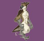 accipitrid accipitriform anthro avian beak bird claws eagle feathers finger_claws gryph000 hi_res male philippine_eagle solo tail tail_feathers toe_claws