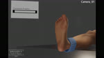 2022 3d_(artwork) 3d_animation 4_toes 5_fingers 5_toes absurd_res after_transformation alternate_angle ambiguous_gender animated ankle_cuffs anthro artist_logo artist_name big_feet bodily_fluids cardiac_monitor claw_growth claws close-up cuff_(restraint) curling_toes dewclaw digital_media_(artwork) digitigrade duo english_text feet fingers foot_focus foot_growth foot_rub foot_transformation fur fur_growth grasky growth hand_on_foot hi_res huge_filesize human human_to_anthro imminent_transformation logo mammal medical_instrument mid_transformation offscreen_character pawpad_growth pawpads paws pillarbox pink_pawpads plantigrade plantigrade_to_digitigrade progress_bar restrained restraints scientific_experiment scientific_instrument soles solo_focus sound sound_warning species_transformation spread_toes sweat tan_body tan_fur text toe_claws toes transformation unknown_species webm white_claws wiggling_toes