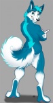 Rating: s
ID: 77490
Date: 2010-05-31 21:08:20 -0400
Status: active
Score: 13
anthro blue_body blue_eyes blue_fur blue_hair butt canid canine canis cyanfur directional_arrow domestic_dog fur grey_background hair husky looking_at_viewer male mammal nordic_sled_dog pose simple_background smile solarmew solo spitz tail teeth post #77490