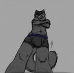 anthro boxer_briefs bulge clothed clothing crossed_arms erebus_(emocat) felid fur grey_body grey_fur looking_at_viewer male mammal prettyokaymrfox simple_background smile solo topless underwear