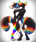 2019 4_toes 5_fingers anthro antony_benjiro biped black_body black_fur black_hair black_nose blue_hair canid canine clothing collar digital_media_(artwork) digitigrade duo eyebrows eyelashes feet femboy fingers fox fur hair hi_res leg_warmers legwear lgbt_pride magenta7 male male/male mammal markings multicolored_clothing multicolored_leg_warmers multicolored_legwear multicolored_markings open_mouth pattern_clothing pattern_legwear pride_color_clothing pride_color_leg_warmers pride_color_legwear pride_color_markings pride_colors rainbow_pride_colors rainbow_symbol selfcest seven-stripe_rainbow_pride_colors simple_background sparklefur square_crossover standing striped_clothing striped_legwear stripes tail teeth toes tongue