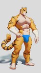 9:16 abs absurd_res anthro brother_tai bulge clothed clothing detailed_bulge felid genital_outline hi_res looking_at_viewer male mammal muscular muscular_anthro muscular_male pantherine penis_outline pleasant_goat_and_big_big_wolf sharp_teeth smile solo teeth tiger underwear underwear_only