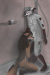 2:3 absurd_res anthro anthro_on_anthro arctic_fox athletic ball_fondling balls bathing black_nose bodily_fluids brown_body brown_fur brown_hair canid canine canis chest_tuft claws covered_breasts cum cum_in_mouth cum_inside detailed_background digital_media_(artwork) dipstick_ears dipstick_tail duo ear_markings ejaculation elvira_(michalinovic) eyebrows eyes_closed facial_markings feet fellatio female fluffy fluffy_tail fondling fox fur fur_markings genital_fluids genitals gimp_(artwork) gloves_(marking) hair hand_on_balls happy happy_sex head_markings hi_res humanoid_genitalia humanoid_hands humanoid_penis intense_orgasm intraspecies jarek_(michalinovic) kneeling kneeling_oral_position leg_markings licking long_hair looking_pleasured love male male/female mammal markings michalinovic multicolored_body multicolored_ears multicolored_fur multicolored_tail open_mouth oral orgasm orgasm_face orgasm_squirm pawpads penile penis penis_in_mouth penis_lick red_fox romantic romantic_ambiance romantic_couple romantic_sex saliva sex shaking_orgasm shower shower_sex showering socks_(marking) standing tail tail_markings teeth tender tongue true_fox tuft wet wet_body white_body white_fur white_hair