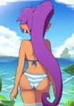 2017 absurd_res back-tie_bikini back-tie_clothing back-tie_swimwear bikini breasts butt clothing cloud dark_body dark_skin ear_piercing faceless_character faceless_female female genie hair hi_res humanoid humanoid_pointy_ears island jewelry legs_in_water long_hair not_furry partially_submerged piercing ponytail purple_hair rear_view sarukaiwolf shantae shantae_(series) side-tie_clothing side-tie_swimwear signature solo submerged_legs swimwear two-piece_swimsuit water wayforward wide_hips