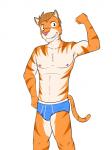 3:4 anthro athletic athletic_anthro athletic_male biceps blue_clothing blue_underwear briefs bulge clothed clothing felid flexing fuze hi_res joe_(texnatsu) male mammal nipples pantherine simple_background solo texnatsu tiger topless underwear white_background