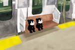 Rating: s
ID: 5554683
Date: 2025-05-07 04:53:09 -0400
Status: active
Score: 1
3:2 ambiguous_gender anthro bear biped black_body door duo inside_vehicle mammal public_transportation sitting subway tsuchika white_face window young post #5554683