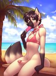 anthro beach bikini bikini_top black_nose bottomless bottomless_male brown_body brown_ear_tips brown_fur brown_hands brown_markings brown_snout brown_tail_tip canid canine choker circumcised clothed clothing dessert digital_media_(artwork) dipstick_ears dipstick_tail ear_markings erection exposure_variation facial_markings femboy food fur genitals gloves_(marking) green_eyes hair head_markings hi_res humanoid_genitalia humanoid_penis ice_cream inner_ear_fluff jewelry lockworkorange looking_at_viewer male mammal markings matthew_(articwuff) multicolored_ears muzzle_(marking) necklace penis pink_bikini_top pink_choker pink_jewelry pink_necklace seaside sitting solo swimwear tail tail_markings tan_body tan_fur third-party_edit tuft two-piece_swimsuit unauthorized_edit water