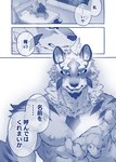 anthro bed blush butt canid canine canis comic domestic_dog duo furniture hi_res husky imminent_sex japanese_text kazukirakugaki lifewonders live_a_hero male male/male mammal monomasa muscular muscular_anthro muscular_male nipples nordic_sled_dog nude pecs sadayoshi spitz text translated