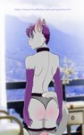 anthro blue_eyes blush butt clothing collar domestic_cat felid feline felis femboy fur gopherrrrr hi_res lin_(suzukiulya) male mammal panties pose rear_view solo spank_marks suzukiulya underwear