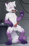 Rating: e
ID: 5537571
Date: 2025-04-29 08:42:20 -0400
Status: active
Score: 198
absurd_res animal_genitalia animal_penis anthro arm_markings balls bodily_fluids canid canine canine_genitalia canine_penis changed_(video_game) changed_remake cum ejaculation fox fox_tail fully_sheathed fused_toes genital_fluids genitals goo_creature hi_res huka human_to_anthro knot knotted_penis latex latex_transformation leaking_cum leg_markings lin_(changed) liquid_latex male male/male mammal markings nella_(foxnella) pawpads paws penis sheath solo species_transformation tail transformation post #5537571