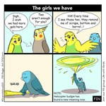 1:1 2024 4koma angry annoyed archie_(art_of_emm) art_of_emm avian bird blue_body budgerigar cockatiel cockatoo comic dialogue digital_drawing_(artwork) digital_media_(artwork) english_text feather_hands feathers female_(lore) feral green_body grey_body holding_another holding_by_tail jessie_(art_of_emm) loriinae male_(lore) muscular parakeet parrot parrotlet robin_(art_of_emm) scandalous_six slapstick speech_bubble text true_parrot