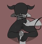 Rating: e
ID: 5603641
Date: 2025-05-28 02:27:07 -0400
Status: pending
Score: 40
2_toes absurd_res anthro anus bodily_fluids bottomless bottomless_female butt butt_grab clothed clothing demon duo e254e feet female foot_fetish foot_play footjob genital_fluids genitals hand_on_butt hi_res horn human lying male male/female mammal neeruam_(e254e) on_front perineum pussy restraints sex skindentation soles straitjacket toes vaginal_fluids post #5603641