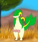 2_penises absurd_res animal_genitalia animal_penis anthro aroused blush bodily_fluids dripping erection generation_5_pokemon genital_fluids genitals grass green_body hemipenes hi_res kamek_sans leaking_precum looking_at_viewer male multi_genitalia multi_penis navel nintendo outside penis plant pokemon pokemon_(species) precum precum_drip red_eyes slightly_chubby snivy solo tan_body thick_thighs tree vein veiny_penis