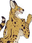 2024 3:4 anthro blue_eyes breasts digital_media_(artwork) felid feline female hi_res licking licking_lips looking_back mammal nekomata_ftnr nude serval simple_background solo tongue under_boob whiskers