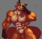 abs anthro barazoku biceps brown_body brown_fur butt canid canine canis dreamworks fink_(the_wild_robot) fox fur hi_res male mammal multicolored_body multicolored_fur muscular muscular_anthro muscular_male orange_body orange_fur pecs pinumontbalou red_fox smile smiling_at_viewer solo tail the_wild_robot true_fox