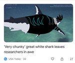 anthro black_clothing clothing english_text feral fish great_white_shark hair hi_res jacket leaving mackerel_shark male marine meme neon realta realta22 redraw shark solo swimming text thick_thighs topwear white_shark