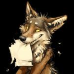 1:1 2016 alpha_channel ambiguous_gender black_body black_eyes black_fur black_nose brown_body brown_fur canid canine canis coyote digital_media_(artwork) feral front_view fur half-length_portrait icon kenket looking_aside mammal multicolored_body multicolored_fur paper portrait reaction_image sharp_teeth simple_background smile solo sticker tan_sclera teeth transparent_background white_body white_fur yellow_sclera