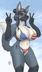 american_flag_bikini anthro areola areola_slip big_breasts bikini blush breasts canid canine cleavage clothed clothing digital_media_(artwork) eyewear female flag_bikini fourbythree fur gesture grey_areola grey_body grey_fur hair hair_bun hand_gesture hi_res looking_at_viewer mammal maned_wolf navy_fur orange_eyes signature sky smile solo sunglasses swimwear tail two-piece_swimsuit v_sign