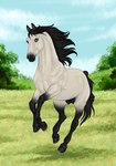 after_transformation equid equine female feral gender_transformation hallod hi_res hooves horse horseshoe mammal solo teats transformation udders