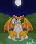 bat blue_eyes breast_grab breasts chair_position duo dust:_an_elysian_tail felid feline female feral fidget_(elysian_tail) flaccid from_behind_position fur genitals grabbing_both_breasts grass green_eyes guardian_spirit hand_on_another's_breast hand_on_breast hi_res holding_breast humanoid_genitalia humanoid_genitalia_on_feral humanoid_penis humanoid_pussy humanoid_pussy_on_feral innie_pussy looking_at_viewer male male/female mammal microsoft moon navel nimbat orange_body orange_fur ori_(ori) ori_(series) penis plant pussy sex silavos spread_wings watermark white_body white_fur wings xbox_game_studios