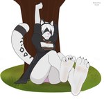 post #5449669