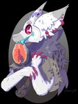 2019 alpha_channel ambiguous_gender animal_skin anthro blue_teeth bust_portrait canid canine claws digital_drawing_(artwork) digital_media_(artwork) ear_piercing eyebrows fangs fish_meat food food_in_mouth fur grey_body grey_eyebrows grey_fur jaspering mammal meat mouth_hold noseless piercing pink_claws pink_sclera portrait salmon_(food) shaded signature simple_background smile snout solo tea_(jaspering) teeth white_body white_eyes white_fur