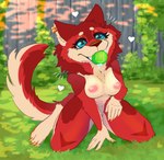 absurd_res anthro ball begging bodily_fluids breasts canid canine canis cassarts double_helix drooling female fence good_girl grass heart_symbol hi_res kneeling mammal nipples nude paws plant saliva solo tail taro tennis_ball wolf yard