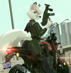 post #3706375