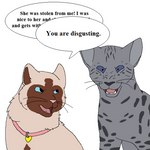 1:1 2015 aliasing ambiguous_gender angry ashfur_(warriors) birman_cat black_text black_whiskers blue_eyes brown_body brown_fur brown_inner_ear collar collar_tag colored colorpoint crossover dialogue digital_drawing_(artwork) digital_media_(artwork) domestic_cat duo english_text fae_(serenity) felid feline felis female_(lore) feral flat_colors fur grey_body grey_fur grey_inner_ear grey_nose heart_collar_tag heart_tag himalayan_cat incel low_res male_(lore) mammal markings microsoft_paint_(artwork) mixed_breed open_mouth pink_collar pink_nose pink_tongue sebdoggo serenity_(comic) simple_background speech_bubble spots spotted_body spotted_fur spotted_tabby tabby_cat talking_feral teeth text tongue warriors_(book_series) whiskers white_background white_body white_fur