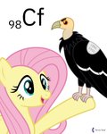 2020 4:5 absurd_res accipitriform ambiguous_gender avian bird black_body black_feathers california_condor californium duo english_text equid equine feathers female feral fluttershy_(mlp) friendship_is_magic grey_eyes hair happy hasbro hi_res mammal my_little_pony mythological_creature mythological_equine mythology new_world_vulture open_mouth parclytaxel pegasus perching pink_hair signature simple_background smile text tracking_tag vulture white_background wings yellow_body