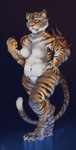 4_finger_fingering 5_fingers absurd_res anthro belly claws felid female fingers fur hi_res hilloty jewelry mammal navel navel_piercing pantherine paws piercing simple_background solo tiger