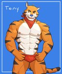 2021 abs anthro barazoku better_version_at_source biped blue_background bulge cel_shading character_name clothing countershading digital_media_(artwork) felid frosted_flakes hi_res irreplaceable_bvas jrjresq kellogg's kerchief male mammal mascot muscular muscular_anthro muscular_male navel neckerchief nipples pantherine pecs pinup portrait pose shaded simple_background solo standing thong three-quarter_portrait tiger tony_the_tiger unavailable_at_source underwear