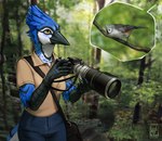 ambiguous_gender anthro avian bag bird bird_watching blue_jay blurred_background branch camera claws corvid digital_media_(artwork) duo female feral forest hi_res jay_(bird) new_world_jay oscine painting_(artwork) passerine plant purse stick techiesxc tit_(bird) titmouse_(bird) tree tufted_titmouse