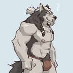 1:1 3000vnd anthro asian_clothing bottomwear braided_hair cadgan canid canine canis clothing devil's_gambit east_asian_clothing fangs fundoshi fur grey_body grey_fur hair hi_res japanese_clothing loincloth male mammal mane multicolored_body multicolored_fur muscular muscular_male nipples pubes solo teeth tuft two_tone_body two_tone_fur underwear wolf