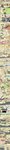 Rating: e
ID: 2633877
Date: 2021-02-28 10:05:35 -0500
Status: active
Score: 324
absurd_res anal anal_penetration anal_request anal_vore animal_noises anthro anus anus_kiss avian bargaining beak belly big_belly big_breasts big_butt big_dom_small_sub bird blue_eyes blue_tongue bodily_fluids bodily_noises bottomwear breasts burping burping_in_face butt butt_crush butt_expansion butt_slap calendar calendar_pinup chasing choker clacking clanging clicking clothed clothing clucking comic compression_sound_effect contact_onomatopoeia container cracking creaking credit_card crunch crush crushing_sound_effect deep_rimming deer delivery_(commerce) derived_sound_effect dialogue dialogue_with_sound_effects different_sound_effects digestion_noises digital_media_(artwork) dominant dominant_female door_slam drooling duo electronics emanata english_text entrapment expansion extended_sound_effect face_in_ass facesitting failure_to_withdraw feather_hands feathers female female_pred food food_delivery forced frustration_cloud fur furniture_noises glurk grawlixes gull gulpspooky hair heart_after_text heart_symbol hearts_around_body hearts_around_head hi_res horn huge_butt huge_thighs iconography impact_onomatopoeia implied_scat jewelry jiggling kissing_sound_effect landline_phone larger_female larger_pred lari larid laugh linked_speech_bubble living_buttplug long_image long_neck looking_back looking_pleasured looking_up male male/female male_penetrating mammal motion_onomatopoeia multiple_prey musk navel necklace number number_word obese obese_anthro obese_female onomatopoeia open_mouth oral oral_request oral_vore outside overweight overweight_anthro overweight_female penetration phone phone_call pizza pizza_box pizza_delivery plant plop pop_(sound_effect) presenting presenting_hindquarters requesting rimming rimming_request rubbing rubbing_sound_effect rumbling rumbling_stomach running saliva seagal sex sex_request shaking sitting sitting_on_another size_difference skirt slam slap sleeping slob smaller_male smile snout_fuck sound_effect_variant sound_effects spank_(sound_effect) species_in_dialogue species_name_variant speech_bubble splash spread_butt spreading squelching squish_(sound_effect) stinkface stuttering swallowing sweat sweaty_butt tail tail_under_skirt talking_to_another talking_to_prey tall_image tan_body teeth text text_with_heart thick_neck thick_thighs tongue tongue_out topwear trapped_in_butt trapped_in_clothing vore vowelless vowelless_sound_effect white_body wide_hips wiggle wings zzz post #2633877