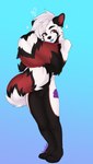 ailurid anthro biped black_body black_fur blep ester_(theoneester) fur heart_symbol hi_res hugging_own_tail hypohate male mammal red_body red_fur red_panda solo tail tail_hug tongue tongue_out white_body white_fur